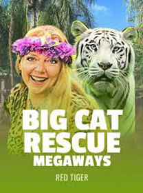 Game Big Cat Rescue Megaways Terbaik: Fitur dan Kelebihan Lengkap — ikon game